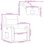 vidaXL Fauteuil inclinable Rouge bordeaux Velours