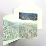 Lot 10 cartes identiques bonne année meilleurs vœux avec 10 enveloppes blanches