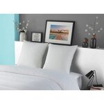 Oreiller LUXOR 60 x 60 cm -Effet Duvet