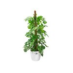 Brussels Pot de fleurs rond Roues 47 - Blanc Ø 47 x 44 cm