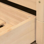 Tiroir de lit 90 x 160 avec sommier BUDDY - vert sauge