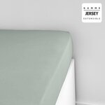Drap housse - 140 x 190+25 cm jersey - Celadon
