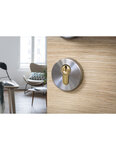 THIRARD - Cylindre de serrure à bouton  30Bx30mm  laiton  3 clés