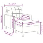 vidaXL Fauteuil avec repose-pied Gris clair 60 cm Velours