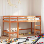 vidaXL Lit mezzanine d'enfants sans matelas avec échelle 80x200 cm