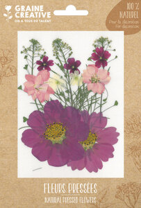 Fleurs Pressées Prairie Parme 14 pièces