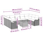 vidaXL Ensemble de sofa de jardin 10 pièces avec coussins Gris en poly rattan Acacia