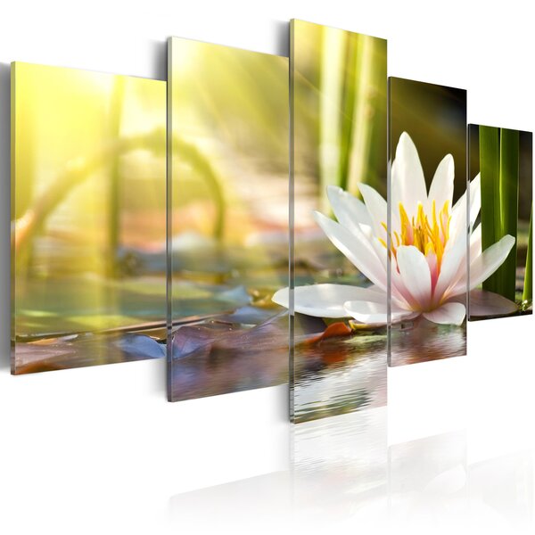 Tableau - sunny lotus l x h en cm 100x50