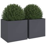 vidaXL Jardinières 2 Pièces anthracite 49x47x46 cm acier laminé à froid