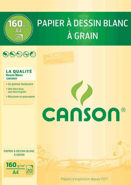 papier à Dessin blanc A4 160 g 20 feuilles CANSON