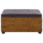 vidaXL Ensemble de banc lot de 2 Jacinthe d'eau Marron