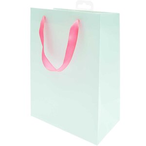 Sac cadeau menthe 26 x 32 cm