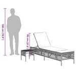vidaXL Chaises longues lot de 2 avec table gris résine tressée