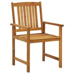 vidaXL Chaises de jardin lot de 6 Bois d'acacia massif