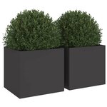 vidaXL Jardinières 2 Pièces noir 32x30x29 cm acier laminé à froid