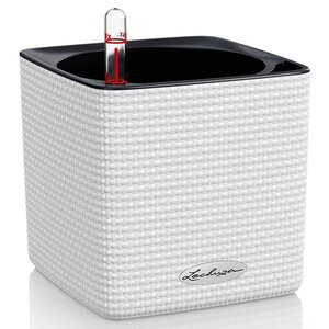 Lechuza jardinière de table cube color 14 all-in-one blanc