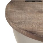 vidaXL Ensemble de 2 tables basses Forme de bol Bois manguier massif