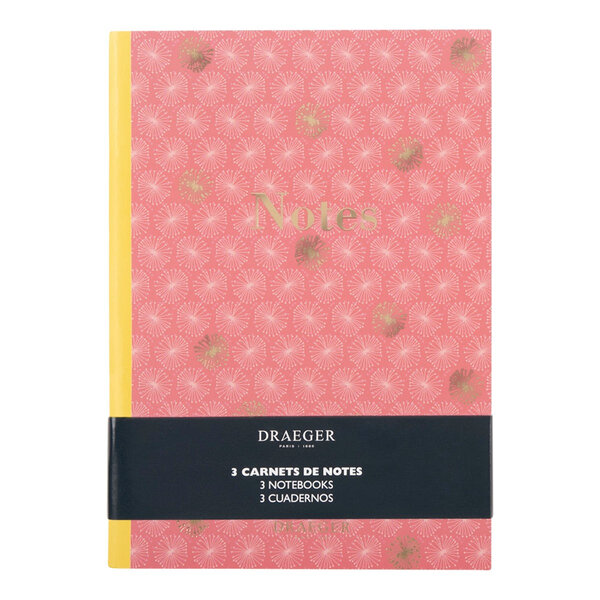 Lot De 3 Carnets A5 Lignés - Rose  Vert - Draeger paris