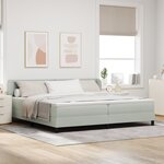Lit à ressort vidaXL avec matelas gris clair en velours 200x200 cm