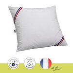 Oreiller grand luxe Quallofil Allerban 60 x 60 cm - Blanc