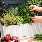 LECHUZA Jardinière BALCONERA Cottage 50 ALL-IN-ONE Blanc