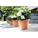 Cilinder 45 cm mild terra - ELHO