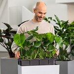 LECHUZA Jardinière BALCONERA Stone 50 ALL-IN-ONE Blanc quartz