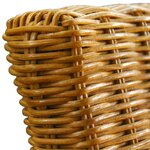 vidaXL Chaises à manger lot de 6 marron rotin naturel