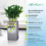 LECHUZA Jardinière CANTO Stone 40 High ALL-IN-ONE Gris pierre