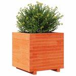 vidaXL Jardinière cire marron 50x50x49 5 cm bois de pin massif