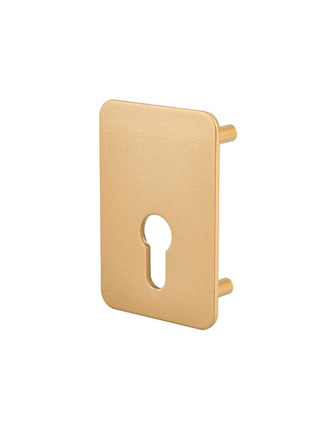 THIRARD - Plaque de renfort cylindre profilé pour verrou Capital  fixation par vis  époxy bronze