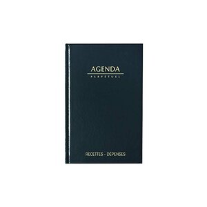 LECAS Agenda Perpetuel Journalier 14 x 22cm Couverture Noir | Agenda Recettes - Dépenses