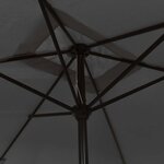 vidaXL Parasol d'extérieur avec mât en métal 300x200 cm anthracite