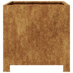 vidaXL Jardinière 40x40x40 cm acier corten