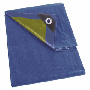 Perel Bâche  résistant  28 œillets  angles renforcés  rectangulaire  bleu/vert  110 g/m²  6 x 8 m