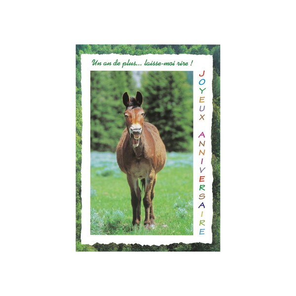Carte de voeux - anniversaire - cheval "un an de plus ... Laisse-moi rire !"