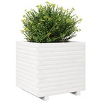 vidaXL Jardinière blanc 50x50x49 5 cm bois de pin massif