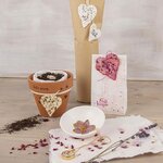 Mélange de graines Sauvetage d'abeilles   75g