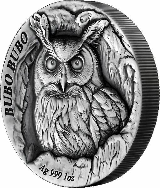 Pièce de monnaie en Argent 2 Dollars g 31.1 (1 oz) Millésime 2024 Tree Hollow BUBO BUBO
