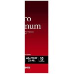 Canon pack de 1  papier photo pro platinum 300g/m2 - pt-101  -  a3+ - 10 feuilles