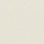 vidaXL Auvent latéral rétractable Crème 160x1200 cm