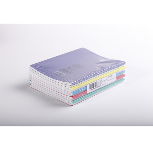 Lot de 10 Cahier Polypro Piqué 24x32 cm 48p séyès 90g Coloris Assortis CALLIGRAPHE