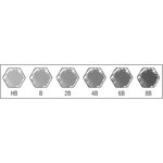 Set Sélection Castell 9000 de 6 crayons graphite x 10 FABER-CASTELL