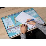 Sous-main Rigide Pvc Maths - 37 5x57 5 Cm - Visuel - X 10 - Exacompta
