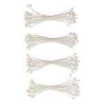 Set 100 Étamines Blanches Papier