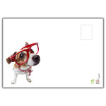 Carte Joyeux Anniversaire Humoristique avec Enveloppe Illustrée format 17 5x12cm Chien Drôle Amusant Rigolo Déguisé avec des Lunettes pour faire la Fête - Création Fabrication française 69-6201