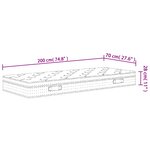 vidaXL Matelas à ressorts ensachés moyen 70x200 cm