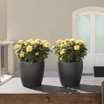 LECHUZA Jardinière Classico Color 43 ALL-IN-ONE Ardoise 13244