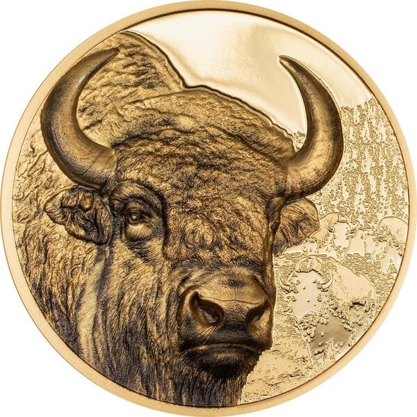 Pièce de monnaie en Or 25000 Togrog g 31.1 (1 oz) Millésime 2025 Wild Mongolia BISON