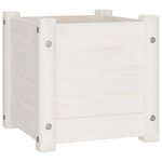 vidaXL Jardinières 2 Pièces Blanc 31x31x31 cm Bois de pin massif